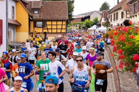 Marathon du Vignoble d'Alsace