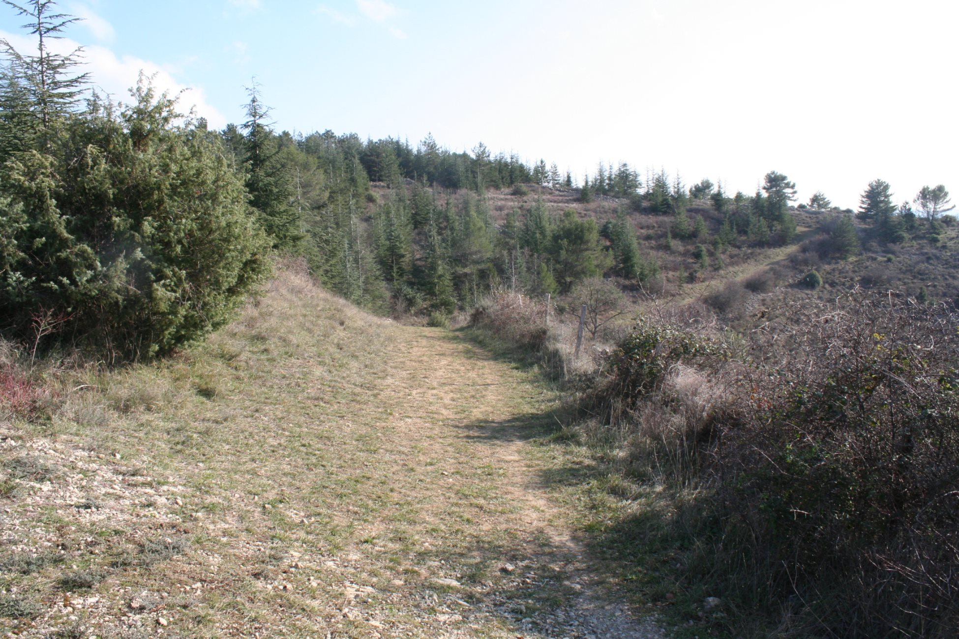 Trail 2 Berg